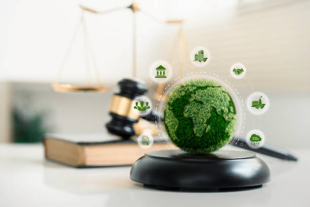 environmental lawyer