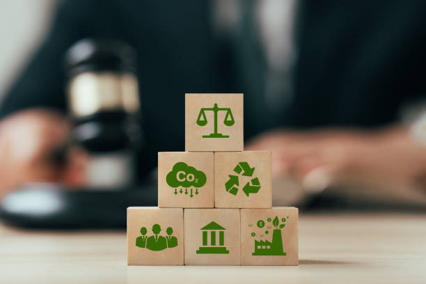 NGT waste management lawyer